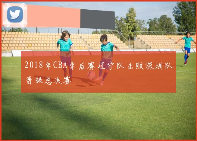 2018年CBA季后赛辽宁队击败深圳队晋级总决赛